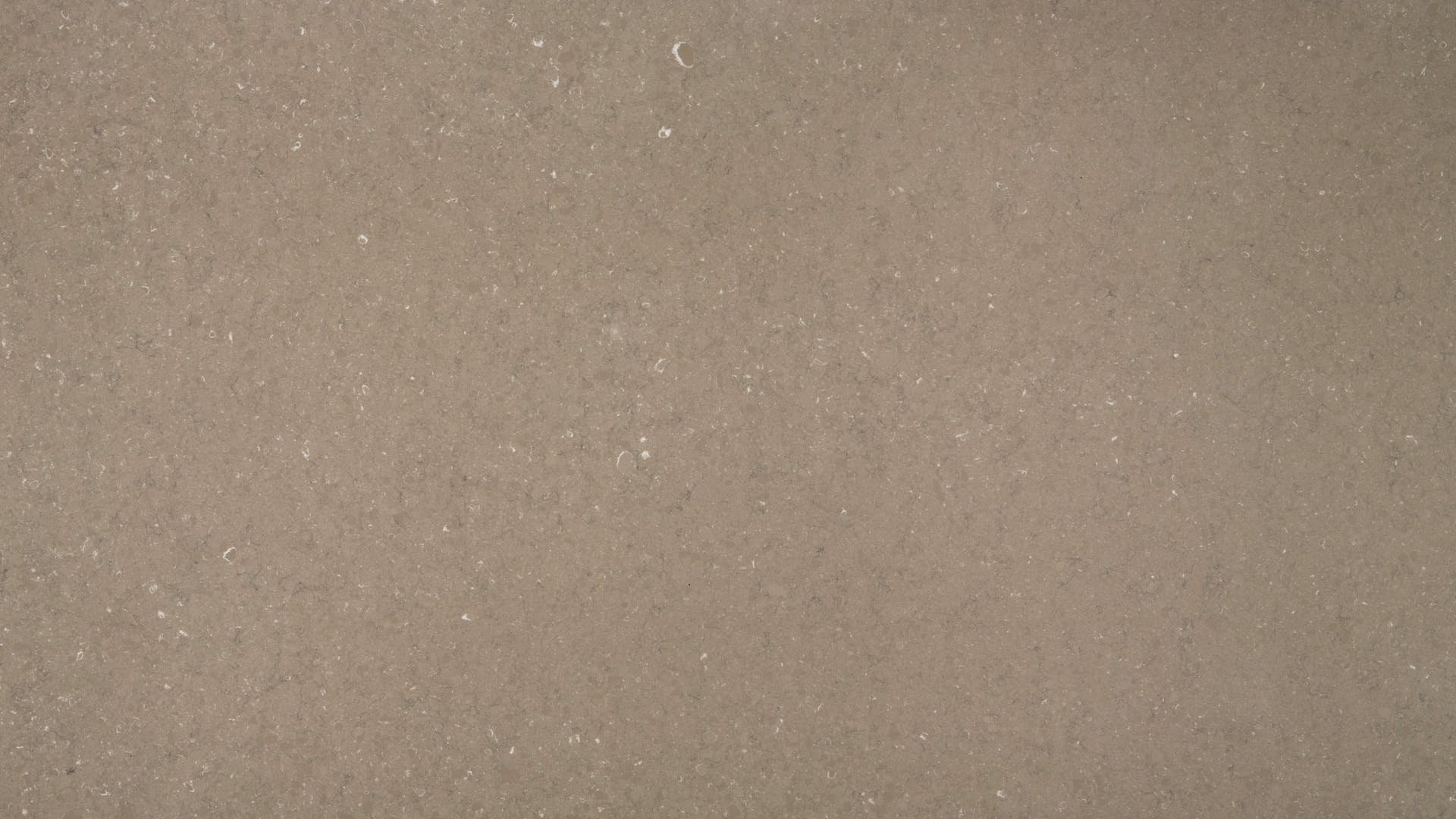Coral Clay